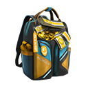 Unlawful Backpack