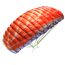 Parachute - Salmon