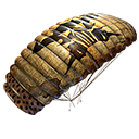 Parachute - D.A.N.G.E.R