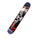 Skyboard -  Sickness