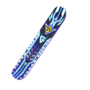 Skyboard - FFWS 2021