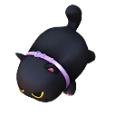 Skyboard - Kitty Ride