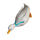 Skyboard - Speedy Goosy