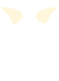 Golden Combo