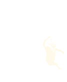 Kungfu Tigers