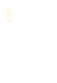 Possessed Warrior