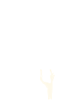Achiever Flip