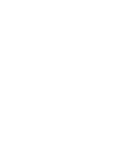 Wisdom Swing