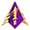 Veteran's Pin