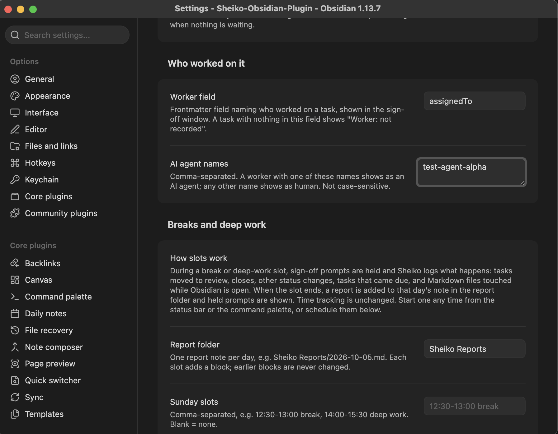 Settings: Who worked on it (worker field, AI agent names) and Breaks and deep work (how slots work, report folder, per-weekday slots)