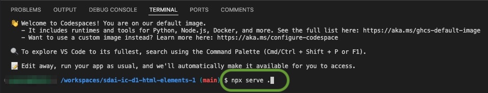 "terminal example for npx"