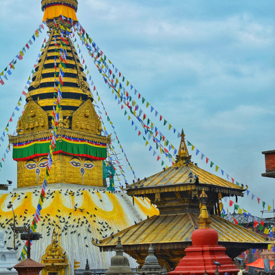 Praesent rutrum purus