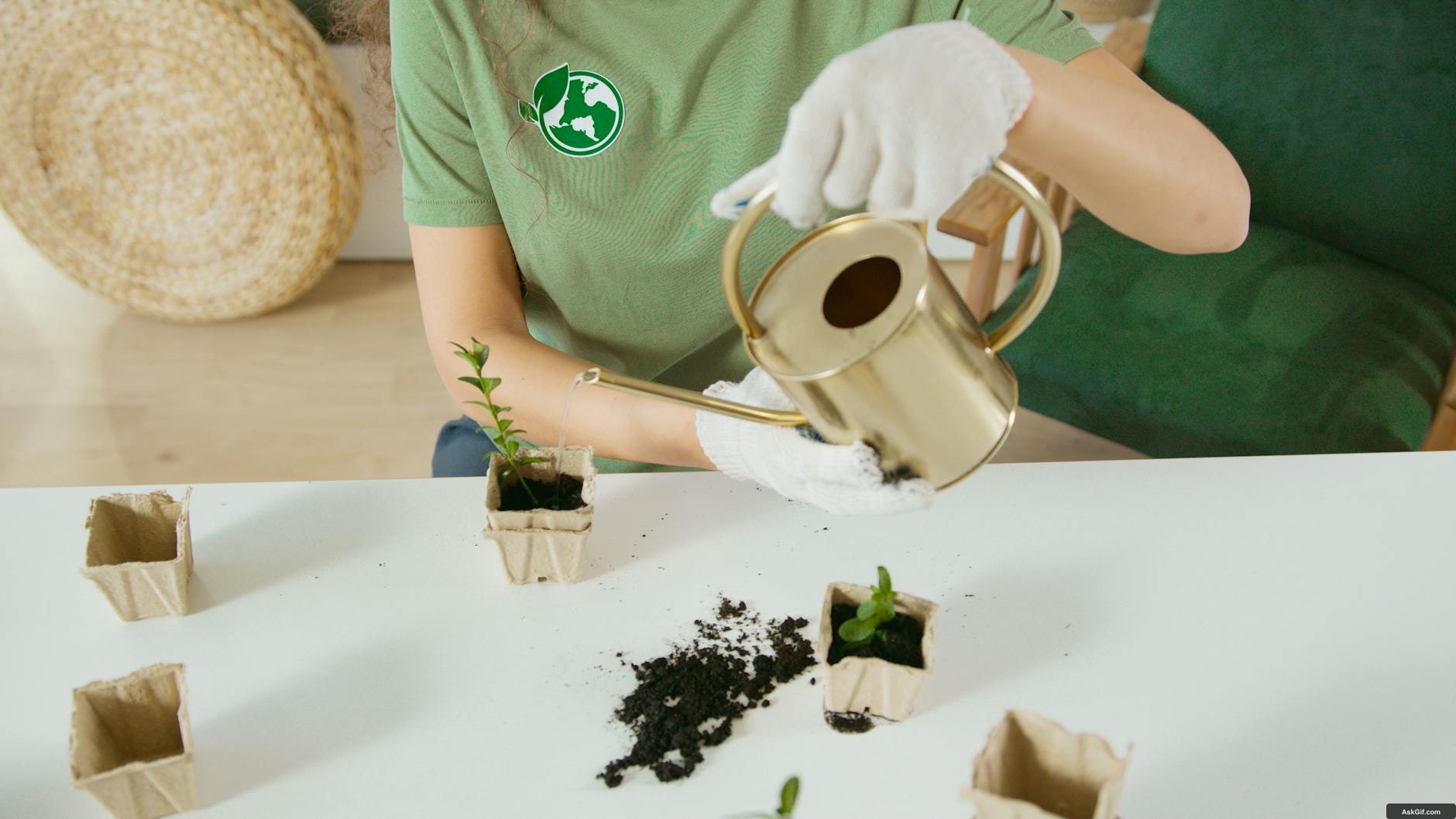 Adopting Sustainable Practices