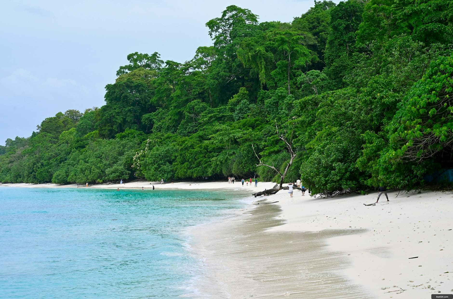 महात्मा गांधी समुद्री राष्ट्रीय उद्यान