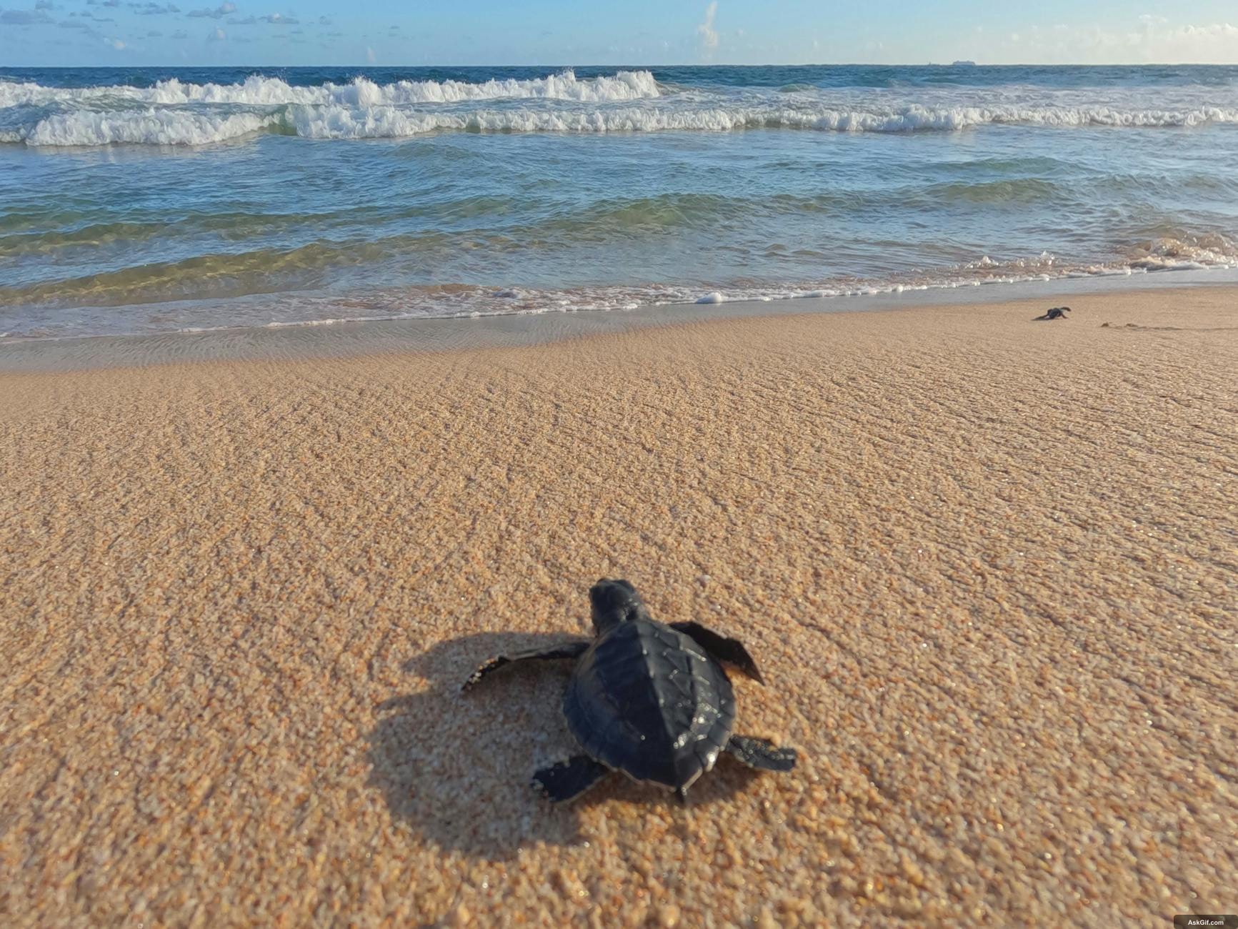 करमटंग बीच