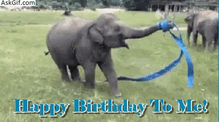 Today is 2nd manufacturing anniversary of AskGif.