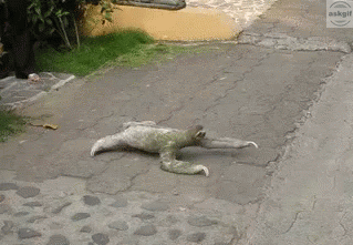 Samsung smartphones when you open 5 applications in parallel.