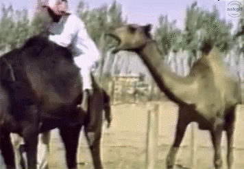 When QA team finds a bug right before you are about to leave.
