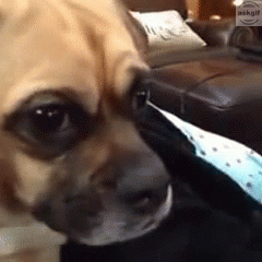 When you listen to Arijit Singh songs.