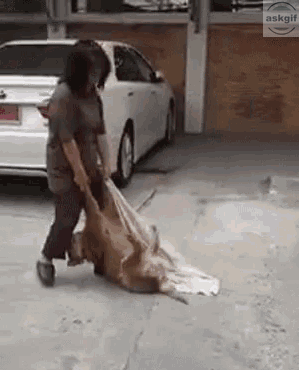 My mom dragging me to barber shop to get a haircut.