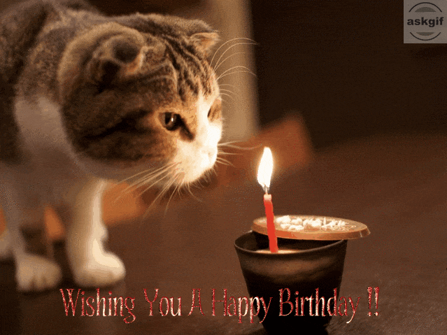 wishing happy birthday.