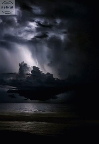 This is what happens in the heaven when you eat meat on Tuesday.