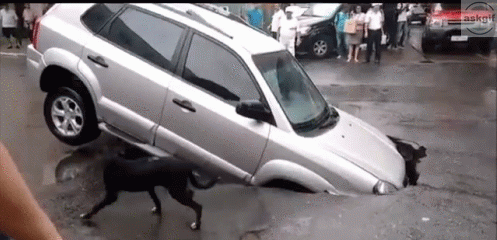 When you follow google maps bit too seriously.