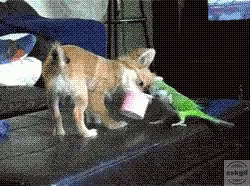 Me and my sister fighting for last bowl of the ice cream.