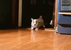 When college students hear someone saying free food.