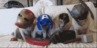 Avengers are excited to face Thanos in endgame.