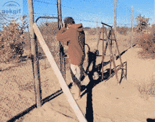 जब वह एक तिलचट्टा देखती है तो मेरी प्रेमिका प्रतिक्रिया कैसे करती है।