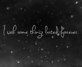 I wish some things lasted forever.