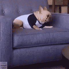 इंग्लैंड में इंग्लिश पैकर का सामना करते समय भारतीय बल्लेबाजी क्रम।