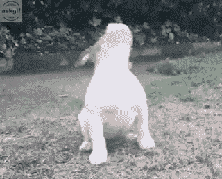 Leaked footage of me searching for a fuck to give.