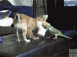 Me and my sister fighting for last bowl of the ice cream.