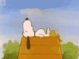 Me on the International Yoga Day.