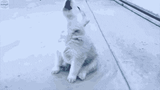 My friends trying to rap after watching gully boy.