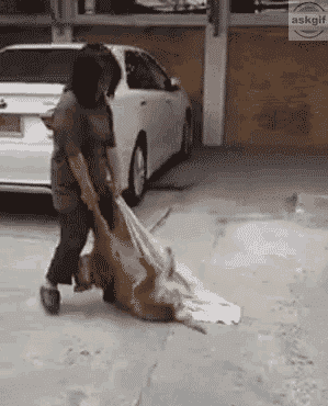 My mom dragging me to barber shop to get a haircut.