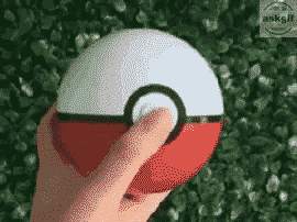 Only pokemon that i want.