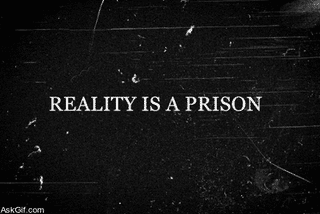 Reality is a prison.