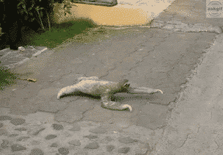 सैमसंग स्मार्टफोन जब आप समानांतर में 5 अनुप्रयोग खोलते हैं।