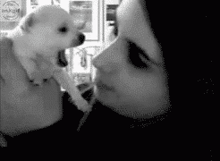 The love bite which i want.