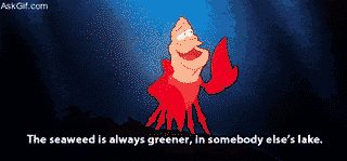 The seaweed is always greener, in somebody else's lake.
