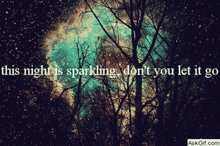 This night is sparkling, don't you let it go.