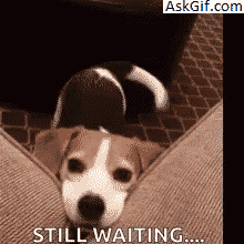 Waiting for Modiji to reach to the main point in his speech.