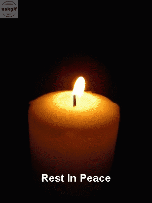 We at AskGif strongly condemn the cowardly terror act at Christchurch. Our deepest sympathies to those who have lost their loved ones.