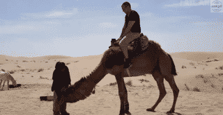 When code breaks just after you check in.