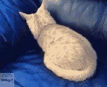 जब मैं अपनी प्रेमिका को एक नई बिक्री के बारे में बात सुनता हूं।