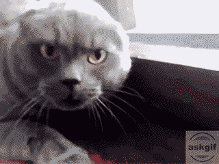 When intern asks for the root access.