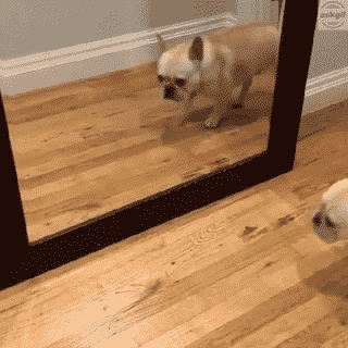 जब मीडिया वाले अपना शो देखते हैं।